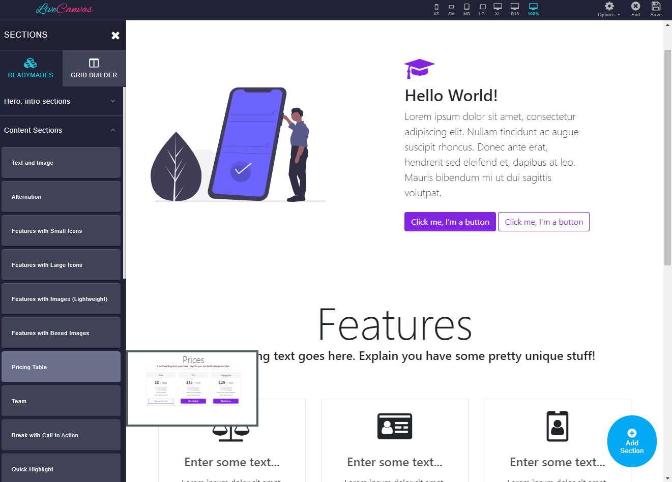 livecanvas builder