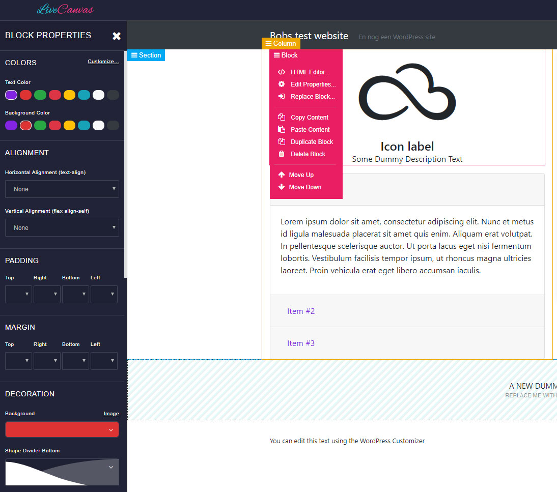 livecanvas editor