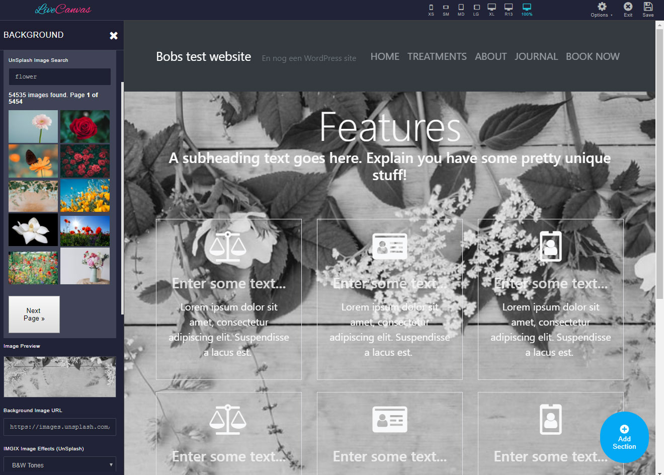 livecanvas background